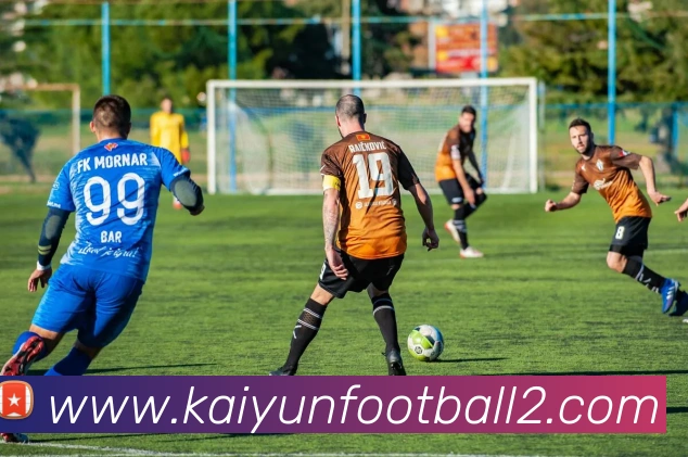 开云足球平台生态图