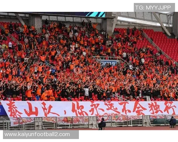 致敬石家庄铁人球迷你们与我们共度风雨携手并肩永远是最棒的第十二人